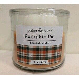 RARE Perfect Harvest Pumpkin Pie Scented Candle 14 Oz Large Jar Fall Autumn NEW
